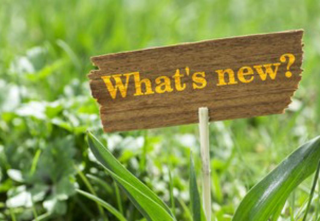 What's New?
