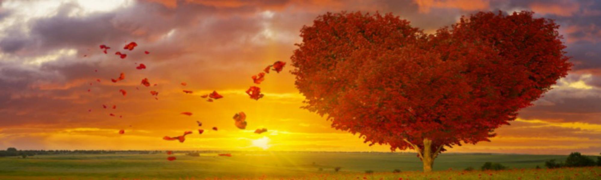 Love of God